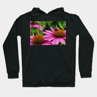 Two bumble bees Hoodie